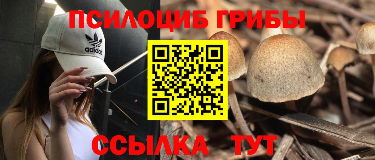 Кострома  Псилоцибиновые грибы GOLDEN TEACHER  Вход с VPN 