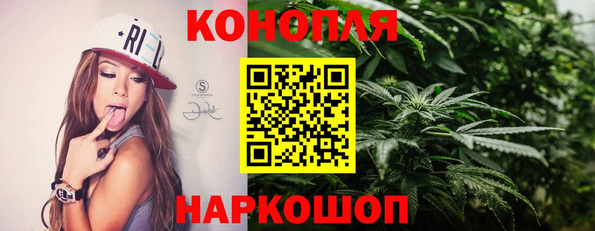 Конопля гибрид Кострома